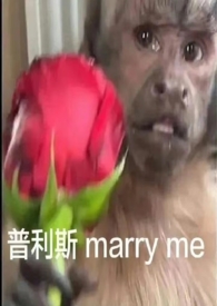 主卧窗帘能做一半吗